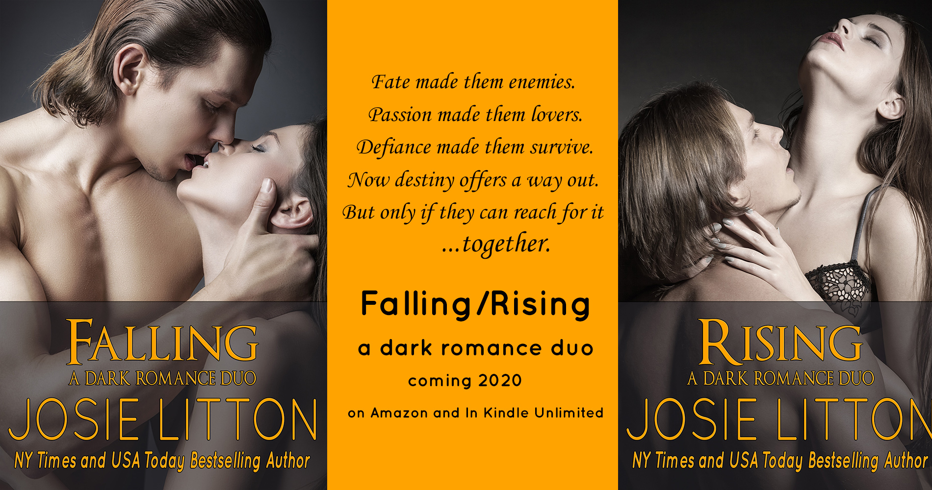 Falling/Rising Dark Romance Duo 2020
